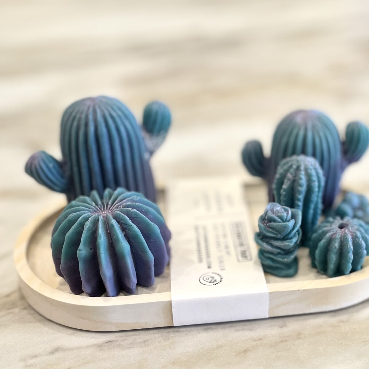 Succulent Trays