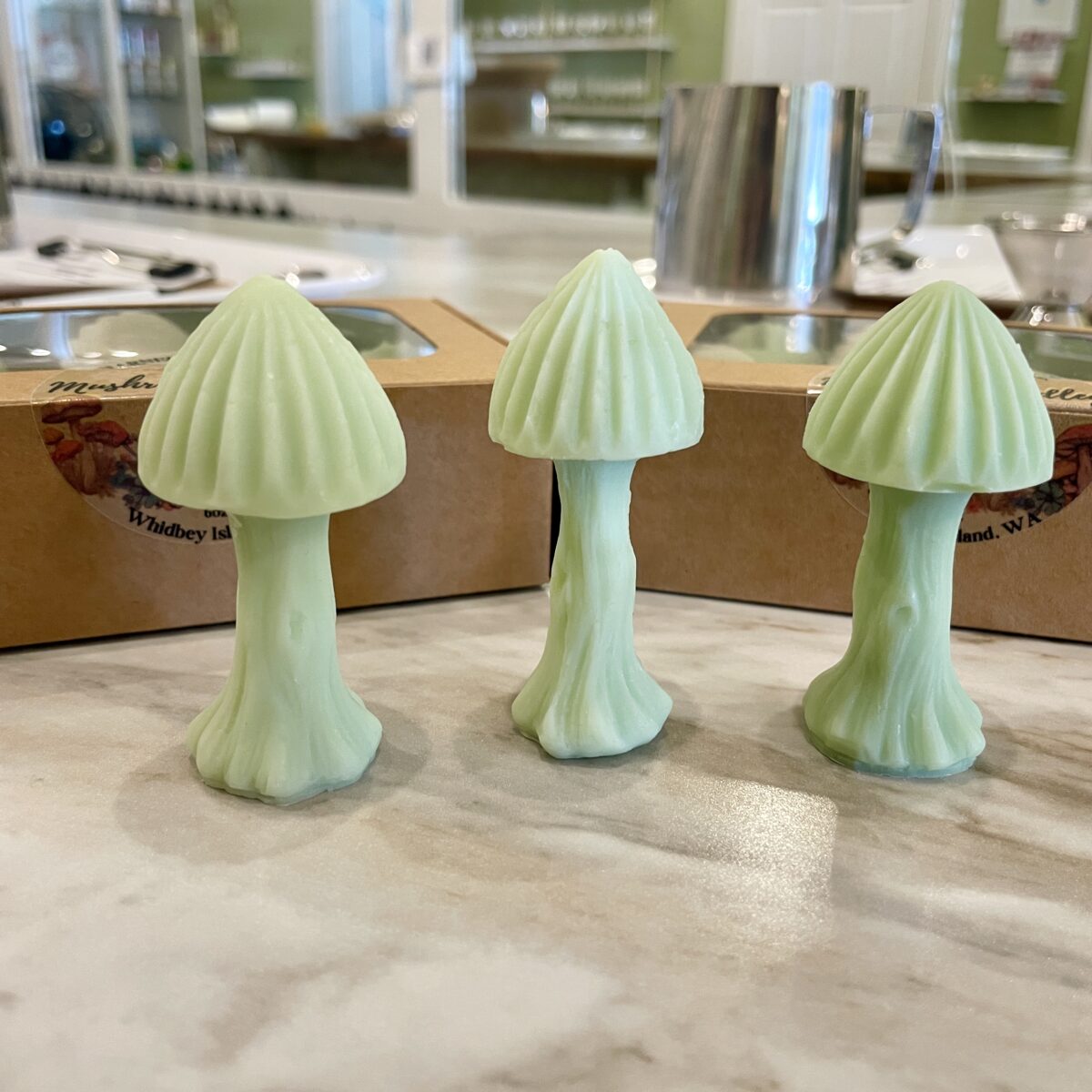 Mushroom Medley Wax Melt Gift Box