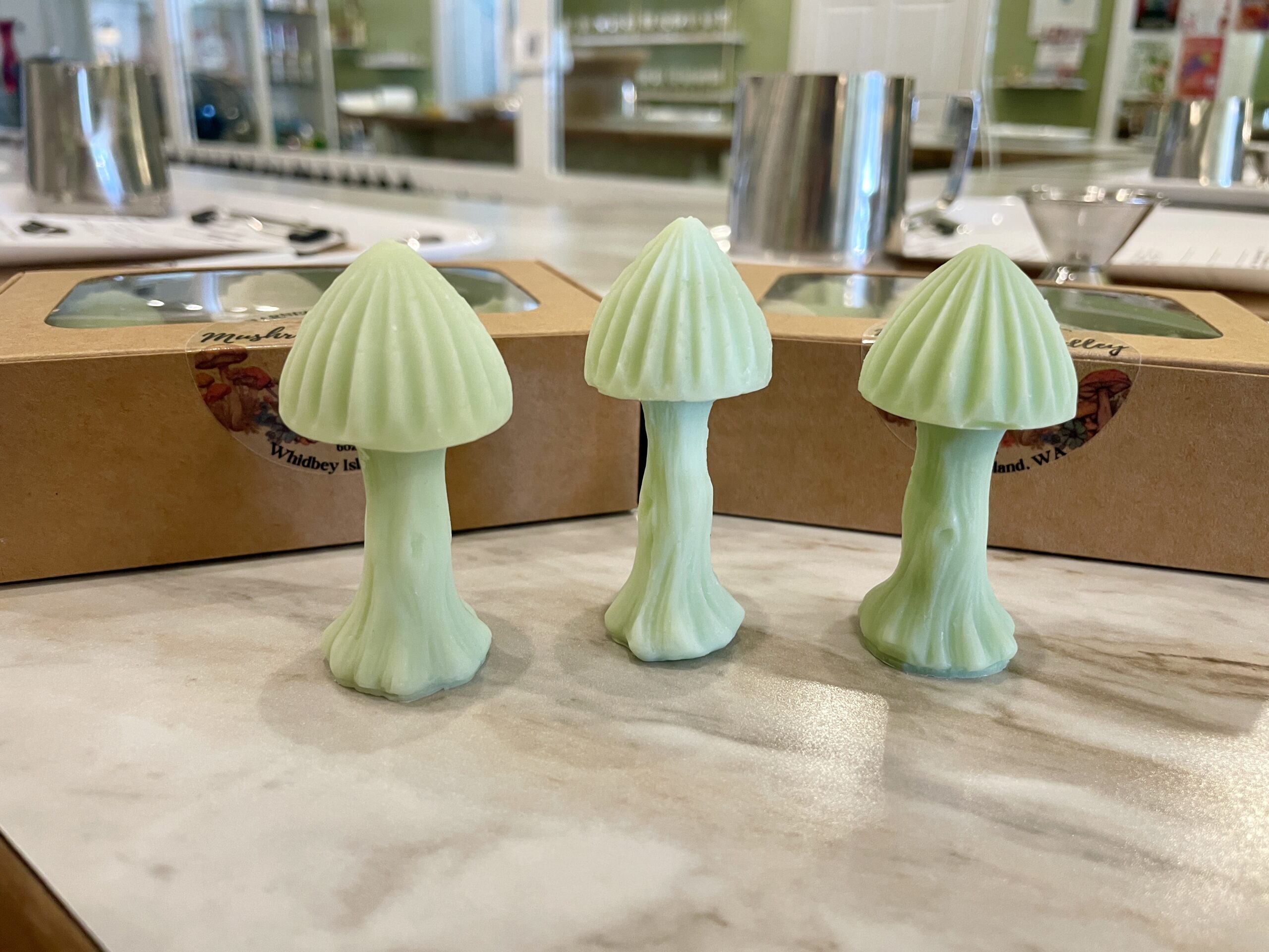 Mushroom Medley Wax Melt Gift Box